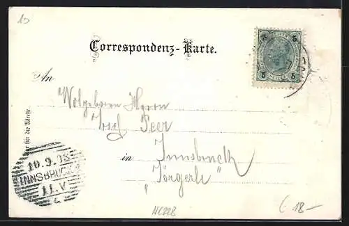 AK Aigen /O.-Oe., Banihaus, Michael Barts Gasthaus und Bärnstein
