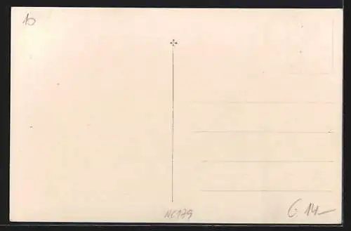 AK Sarleinsbach /O.-Ö., Schule mit Strassenpartie