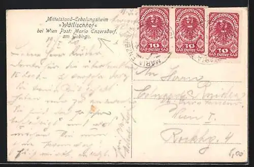 Künstler-AK Maria Enzersdorf b. Wien, Mittelstand-Erholungsheim Wällischhof