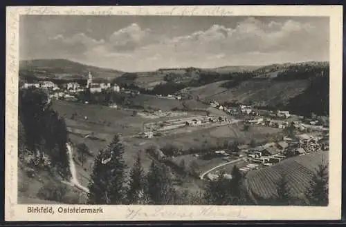 AK Birkfeld /Oststeiermark, Ortsansicht aus der Vogelschau