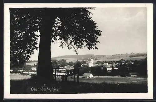 AK Oberndorf a. d. Melk, Teilansicht mit Baum