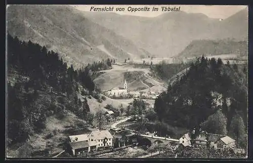 AK Opponitz im Ybbstal, Panorama mit Kirche und Strassenpartie