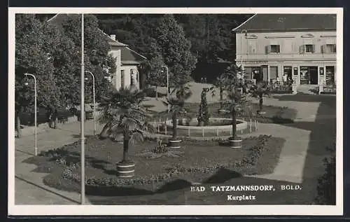 AK Bad Tatzmannsdorf /Bgld., Kurplatz mit Palmen