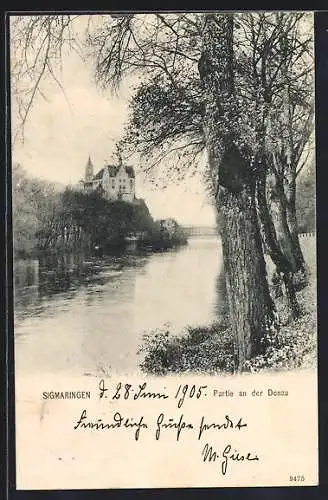 AK Sigmaringen, Donaupartie mit Ufergebäude