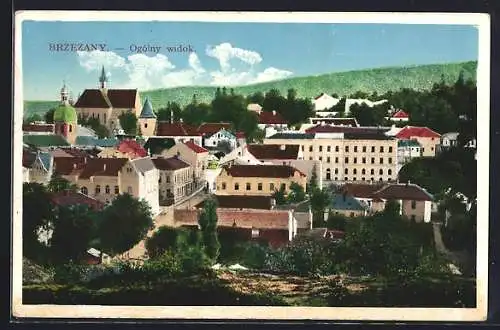 AK Brzezany, Ogolny widok