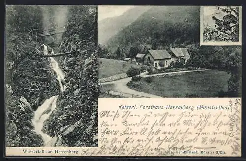 AK Kruth, Forsthaus Herrenberg im Munsterthal