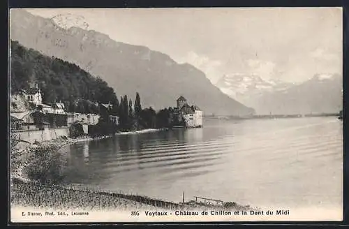 AK Veytaux, Chateau de Chillon et la Dent du Midi