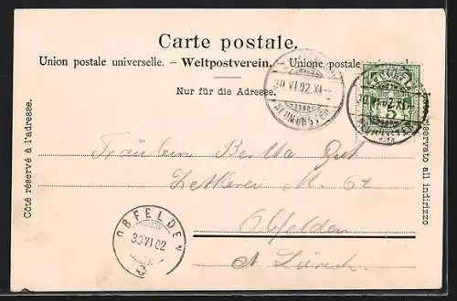 AK Zürich, Gasthof Waldhaus Dolder