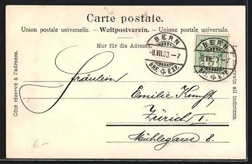 AK Bern, Ortsansicht vom Rosengarten aus