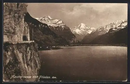 AK Flüelen, Totalansicht von der fernen Axenstrasse