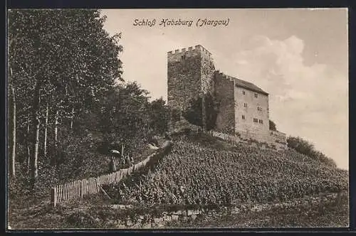 AK Habsburg, Partie am Schloss