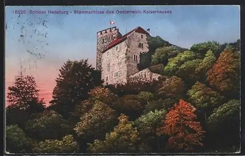 AK Habsburg, Stammschloss des Oesterreich. Kaiserhauses