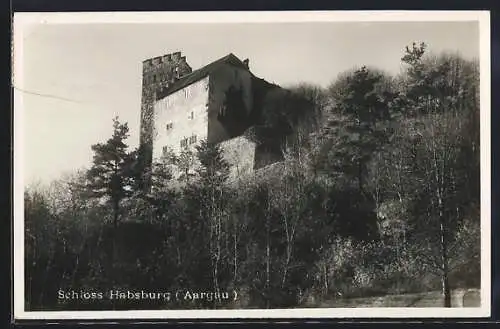 AK Habsburg, Blick hinauf zum Schloss