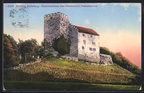 AK Habsburg, Stammschloss des Oesterr. Kaiserhauses