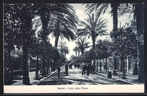 AK Nervi, Viale delle Palme