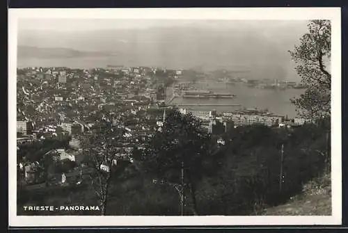 AK Trieste, Panorama