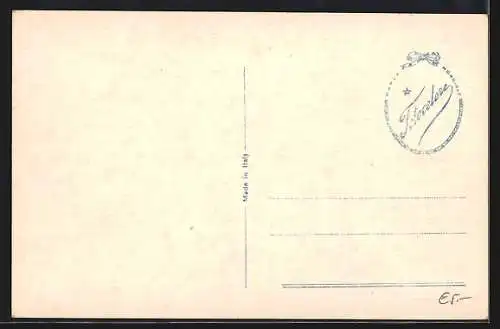 AK Torino, Panorama dalla Vedetta Alpina