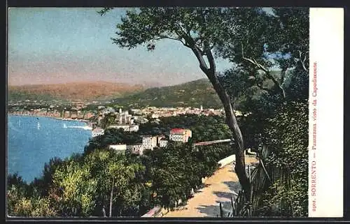 AK Sorrento, Panorama visto da Capodimonte