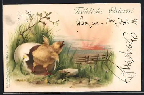 Lithographie Fröhliche Ostern!, frischgeschlüpftes Kücken