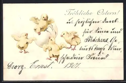 Lithographie Vier Osterküken mit Eierschalen, Ostergruss