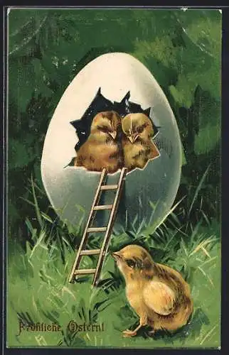 AK Osterküken sitzen in einer Eierschale