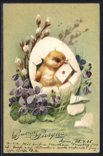 Präge-Lithographie Osterküken mit Brief im Ei, Weidenkätzchen, Blumen, Ostergruss