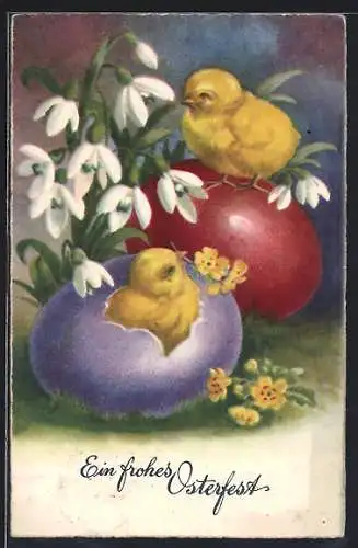 AK Osterküken und Ostereier, Schneeglöckchen, Ostergruss