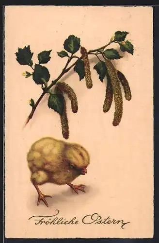 AK Osterküken unter einem Birkenzweig