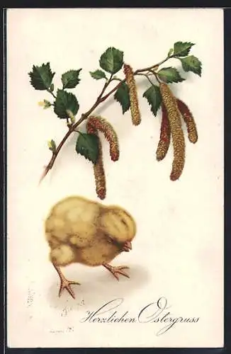 AK Ostergruss mit Osterküken und Birkenzweig