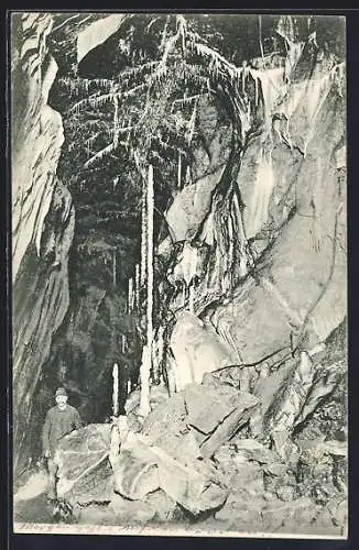 AK Rübeland, Hermannshöhle, 8000-jährige Säule