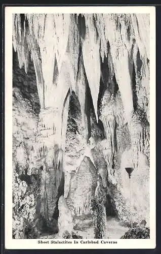 AK Sheet Stalactites in Carlsbad Caverns