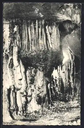 AK Grottes d`Arcy-sur-Cure, La Pieuvre