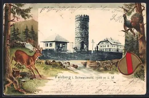 Passepartout-Lithographie Feldberg i. Schwarzwald, Panorama & Wappen