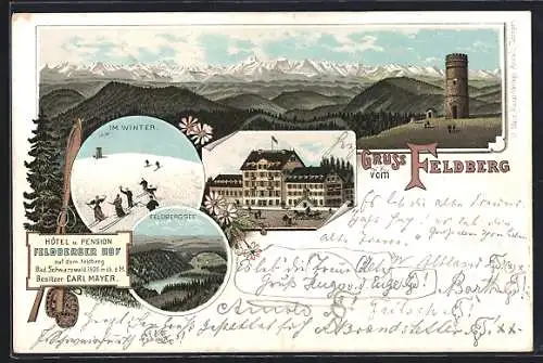 Vorläufer-Lithographie Feldberg / Schwarzwald, 1895, Hotel-Pension Feldeberger Hof v. Carl Meyer, Bergpanorama