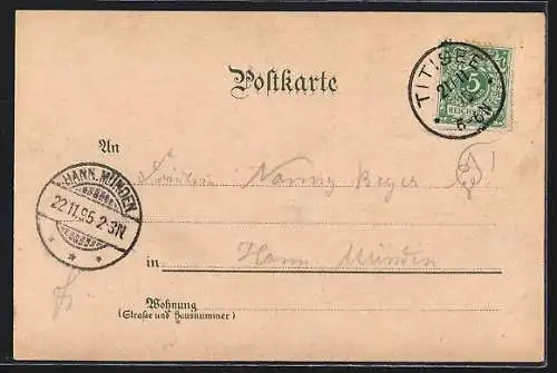 Vorläufer-Lithographie Feldberg / Schwarzwald, 1895, Hotel-Pension Feldeberger Hof v. Carl Meyer, Bergpanorama