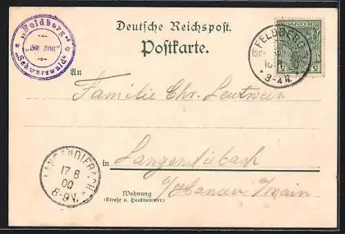 Lithographie Feldberg / Schwarzwald, Feldsee, Bismarckdenkmal, Friedrich-Luisen-Turm, Hotel Feldberger Hof