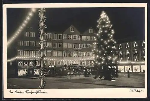 AK Kiel, Der Weihnachtsbaum bei Nacht