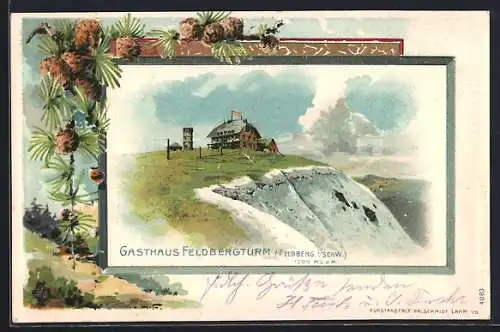 Lithographie Feldberg i. Schw., Gasthaus Feldbergturm