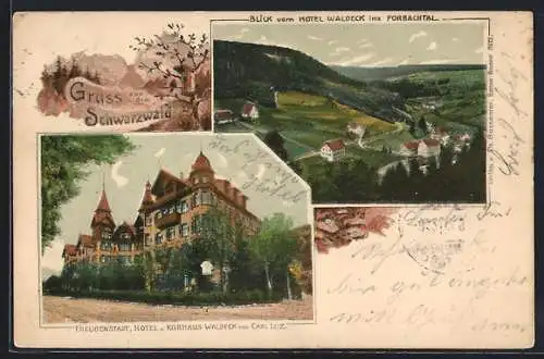 Lithographie Freudenstadt, Hotel-Kurhaus Waldeck, Ortsansicht