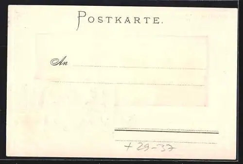 Passepartout-Lithographie Passau, Totalansicht der Ortschaft, Wappen