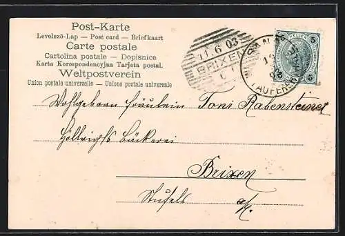 Lithographie Ein Strauss Edelweiss