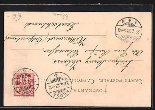 Lithographie Ein Strauch Edelweiss