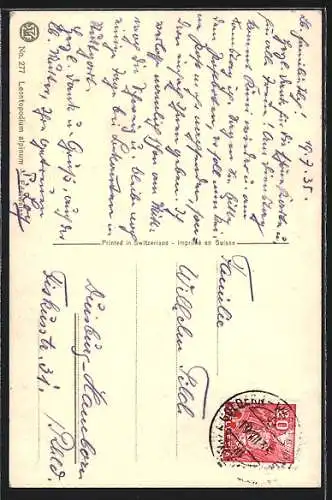 AK Edelweiss, Blumen