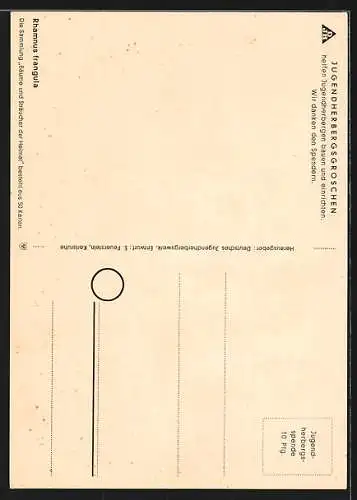 AK Bäume und Sträucher der Heimat, Faulbaum