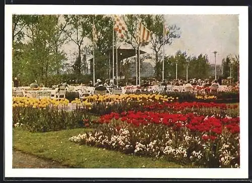 AK Köln, Bundesgartenschau 1957, Am Musikpavillon