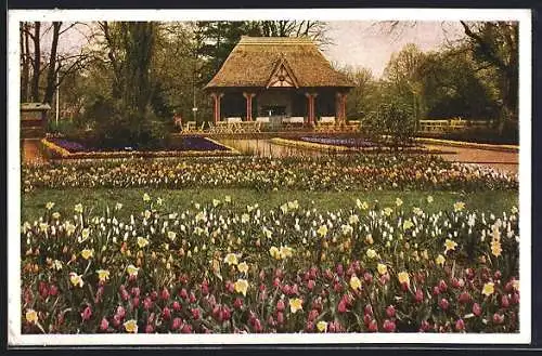 AK Dresden, Reichsgartenschau 1936, Blumenanlage an der Imbisshalle