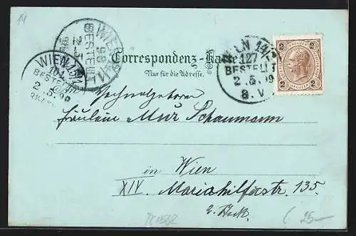 Mondschein-Lithographie Schwanenstadt, Oberer u. Unterer Stadtplatz, Wildefall, Gesamtansicht, Wappen