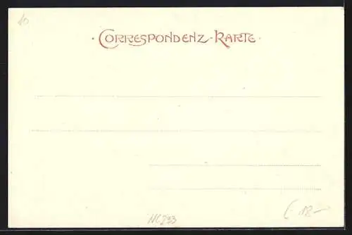 AK Aigen /Ob.-Öster., Strassenpartie mit Geschäftshäusern und Versammlung