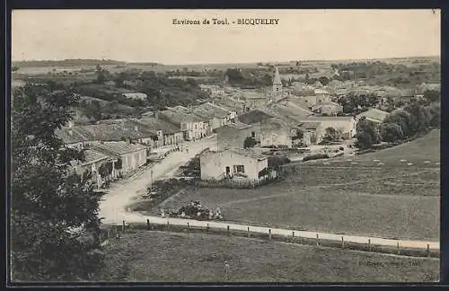 AK Bicqueley, Vue sur le village et la campagne environnante