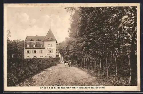 AK Briese, Partie am Restaurant Waldschloss bei Birkenwerder